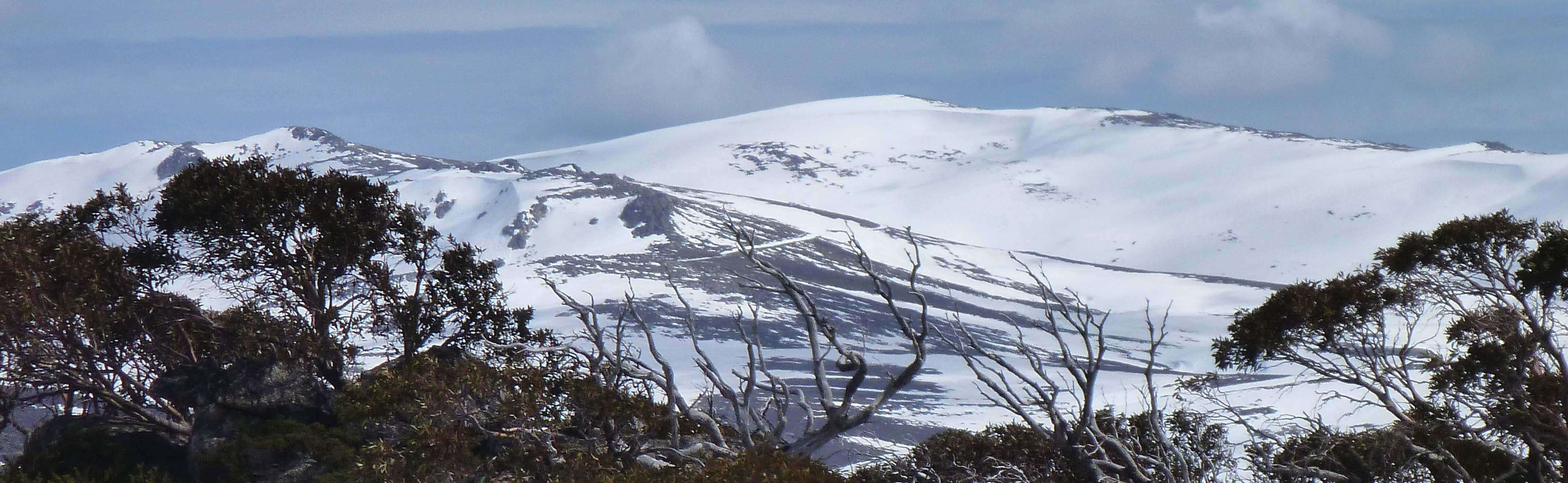 Kosciuszko